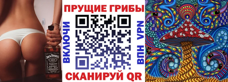 даркнет сайт  Солнечногорск  нарко площадка формула  Галлюциногенные грибы ЛСД 
